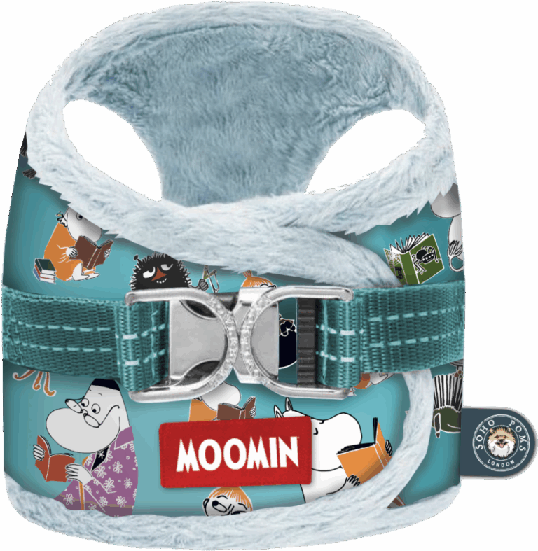 Yeti harness
